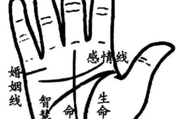 手相浅是否代表运势不好？揭秘浅掌线的真正含义