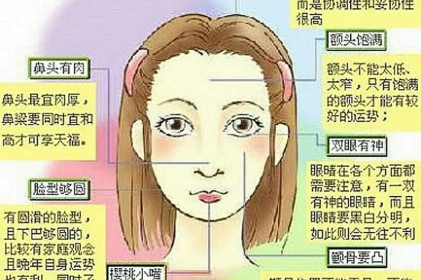 头型面相对个人命运的深刻影响