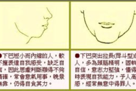 腮骨面相解析：如何通过面部特征看出性格与命运