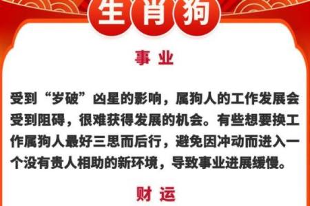 每日生肖运势预测，带你了解今天的运势走向