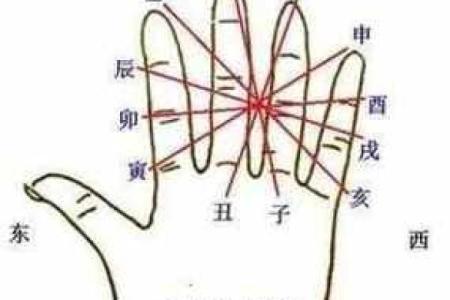 天干手相解析：揭示你命运的隐藏密码