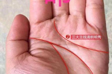 揭秘鹿晗手相中的独特符号与人生暗示