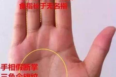 左手断掌手相解读：影响命运的关键线条