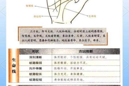 手相医学：解读掌纹背后的健康秘密
