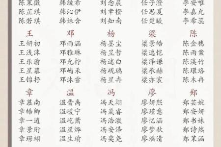 选一个寓意深远的名字 国学起名公司助您传承文化