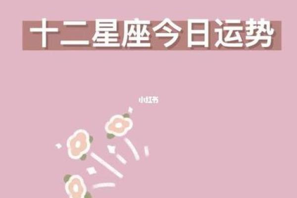 如何利用星座运势网站改善个人生活与工作