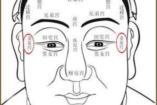 面相学与流年运势的深度关系探讨
