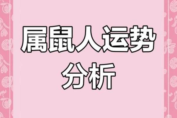 鼠年天干的影响力：探索每个天干与鼠年命运的关系
