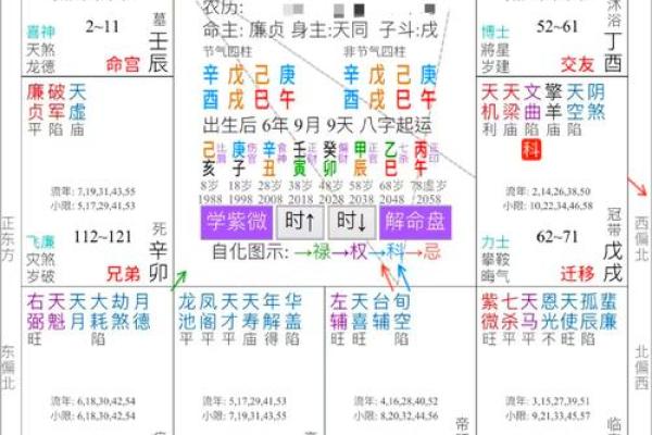 探索免费紫薇排盘，解锁命理中的神秘密码