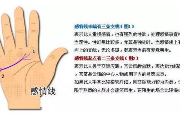 手相揭秘：如何通过掌纹了解你的爱情运势