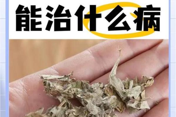 艾字五行属性解析及其对命运的影响