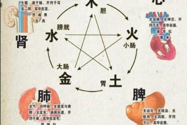 五行之气与人体健康的深刻联系解析