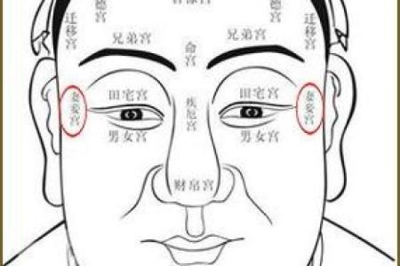 面相学与流年运势的深度关系探讨