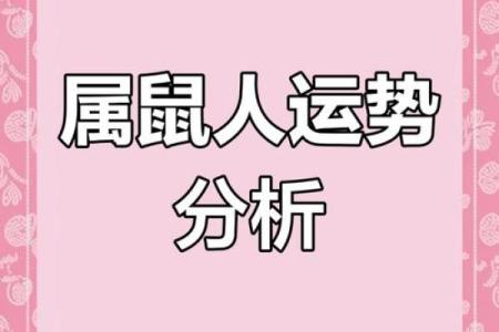 鼠年天干的影响力：探索每个天干与鼠年命运的关系