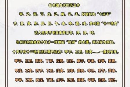 天干地支与五行属性的深度解析