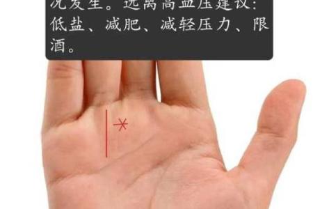 掌纹透视：你身体的健康隐患