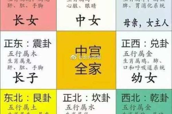 如何通过客厅风水布局提升家中财运