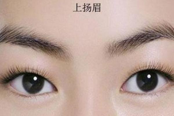 高眉骨面相的性格特点与人生道路