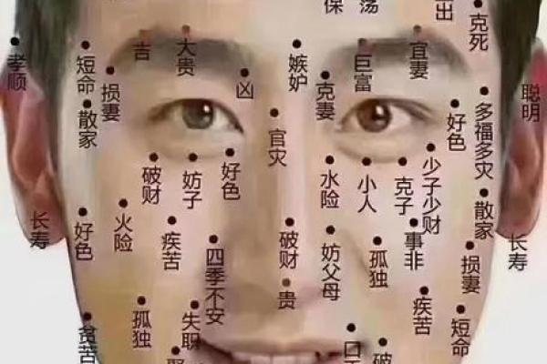 高眉骨面相的性格特点与人生道路