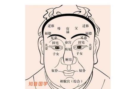 女星面相分析：如何通过面部特征解读人生轨迹