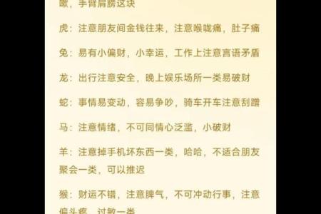 今日生肖运势揭秘：你属什么生肖，运势如何？