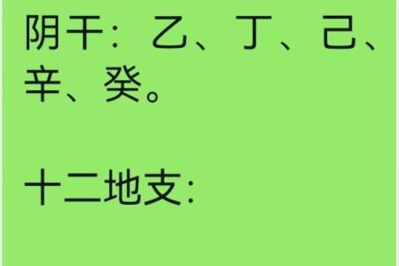 天干地支与五行阴阳的深层关系解析