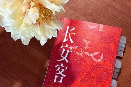 剑锋金命的人生轨迹与命运走向