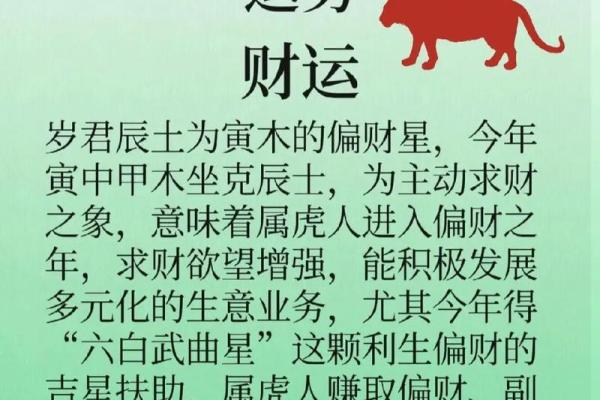 虎年运势解析：事业与财富的全新机遇