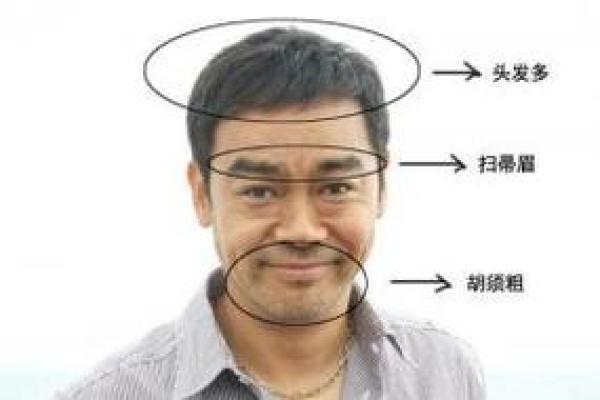 了解头型面相：让你更懂自己和他人