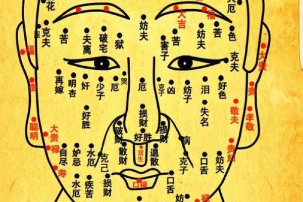了解头型面相：让你更懂自己和他人