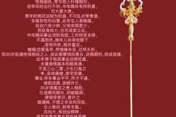 属马人命运与未来运势趋势