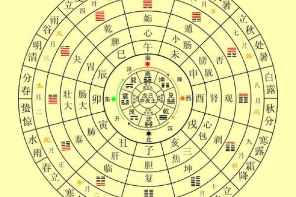 八字命理中的长寿密码：如何通过五行选择健康长寿的生活方式