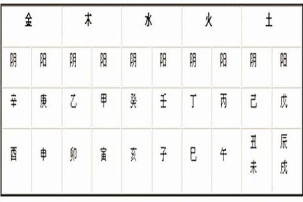 数字五行属性解析与应用指南