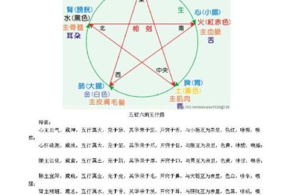 如何通过查五行属性了解个人命运和性格特征