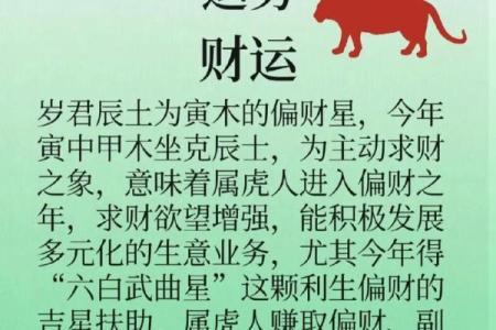 虎年运势解析：事业与财富的全新机遇