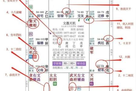 十天干与十二宫的奥秘解析：探索古代天文学与命理的深层联系