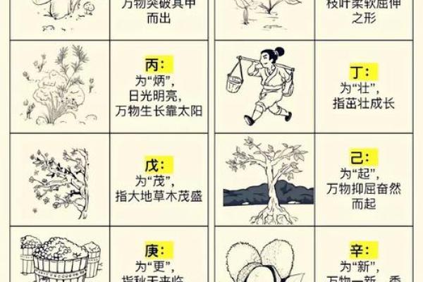 天干地支与人体各部位的神秘关联解析