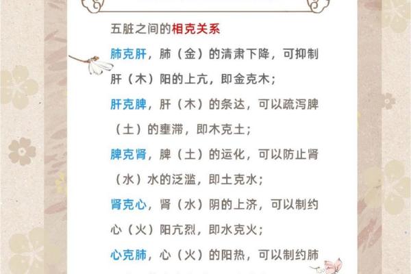 五脏与五行的关系：探索中医理论中的平衡之道