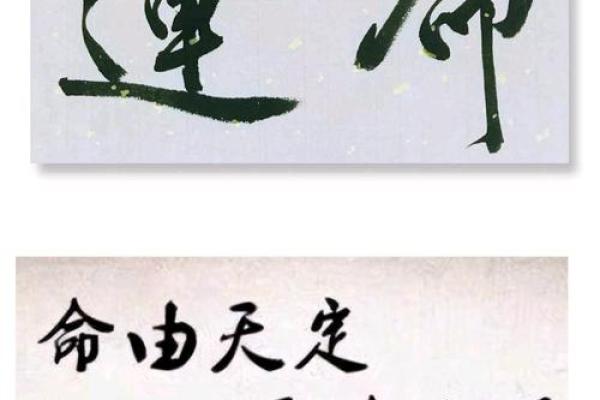 木猪命的命运走向及适合的职业选择