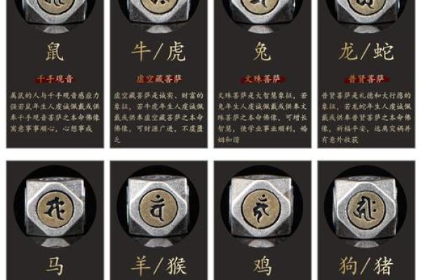 木猪命的命运走向及适合的职业选择
