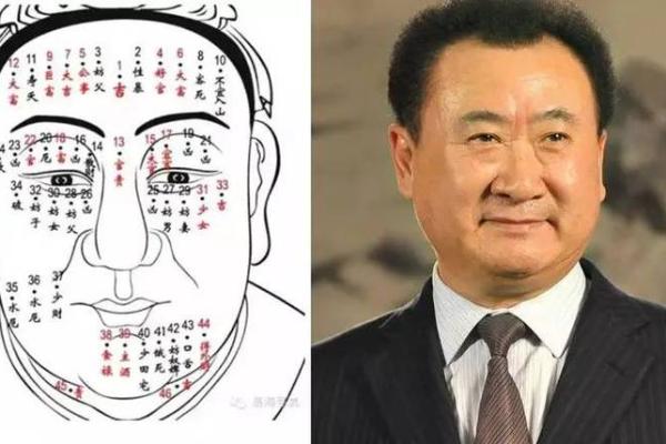 男人面相与运势的关系图解