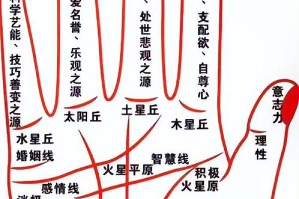 金星丘有横纹的手相解析与意义探讨