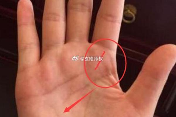 揭开子女宫手相的秘密：掌纹中隐藏的家庭运程
