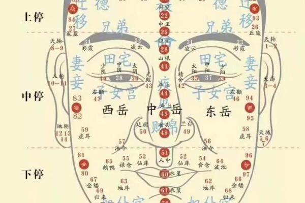 痣相女身体特征与性格解析