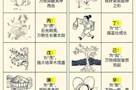 天干地支与人体各部位的神秘关联解析