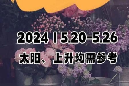 今日星座运势更新：掌握每个星座的运势变化与建议