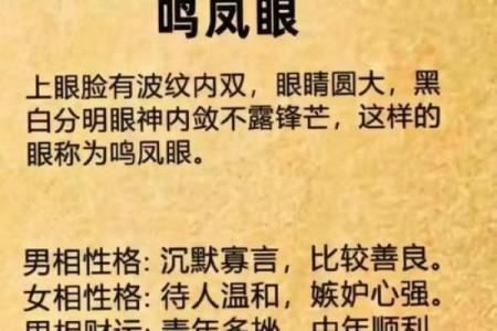 男人面相与运势的关系图解
