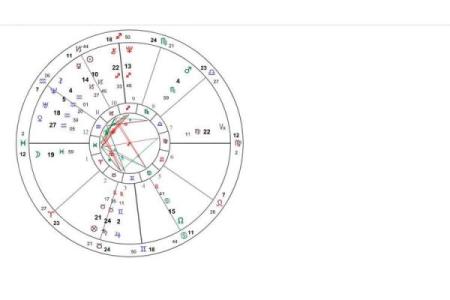 探索新浪排盘的奥秘：星座与命运的深层联系