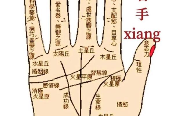 影响命运的秘密：年命在中国命理中的作用
