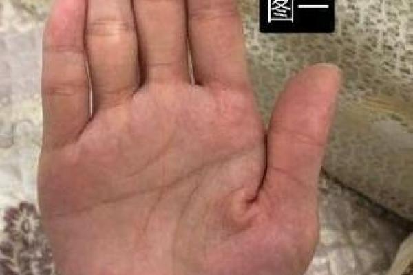 左手断掌的秘密：手相学中的特殊象征
